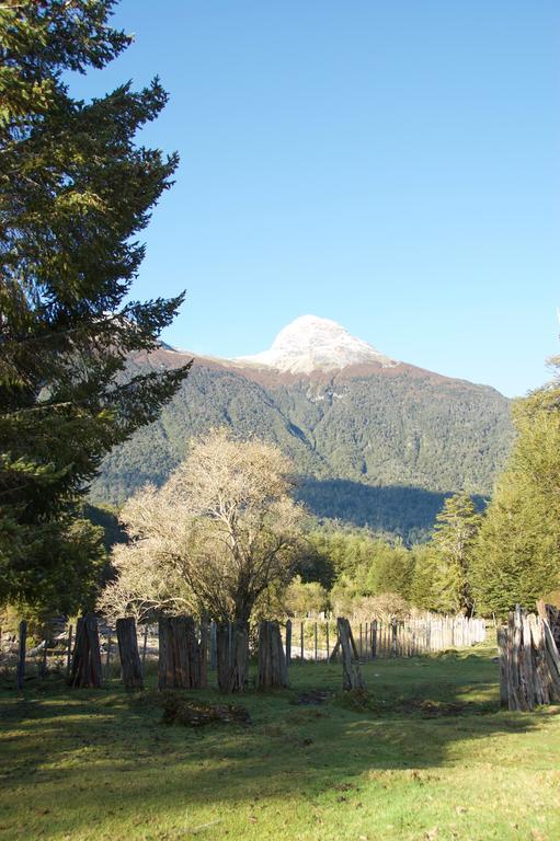 Casa Campo Carretera Austral Puerto Cisnes Exterior foto